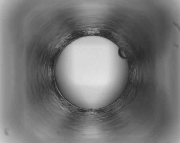 X0000102010704200807180911
