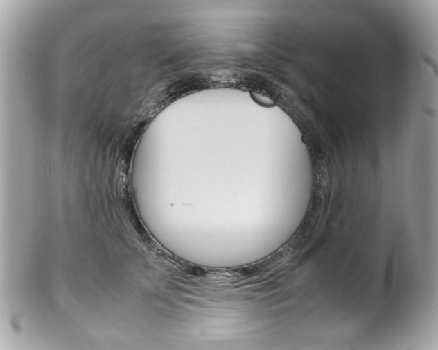 X0000102010707200807180911