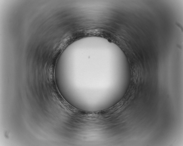 X0000102010708200807180911
