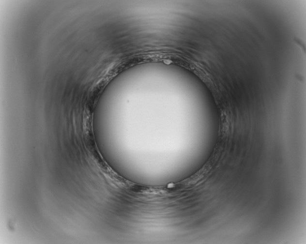 X0000102010712200807180911