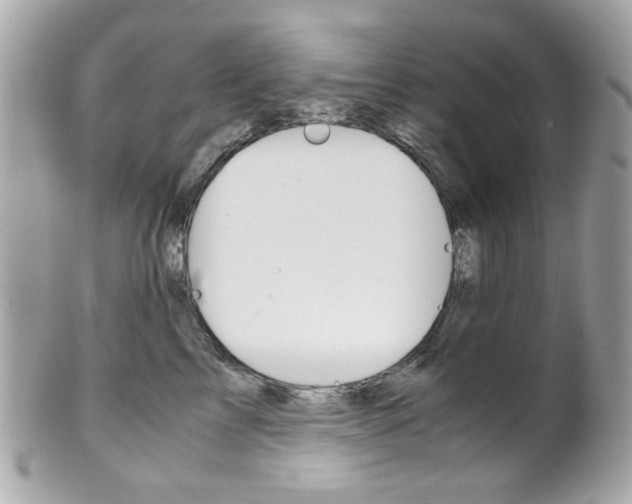 X0000102010713200807180911