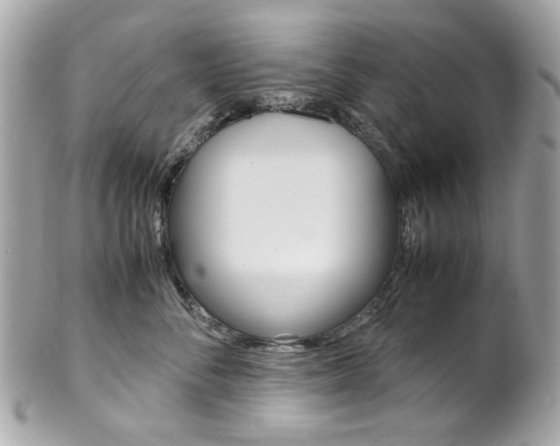 X0000102010716200807180911