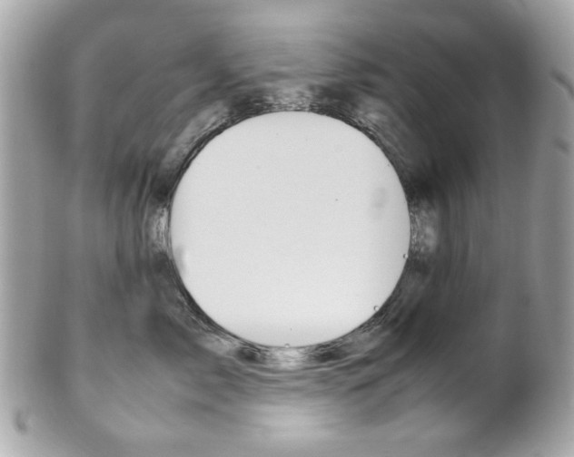 X0000102010717200807180911