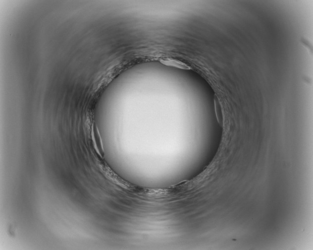 X0000102010720200807180911