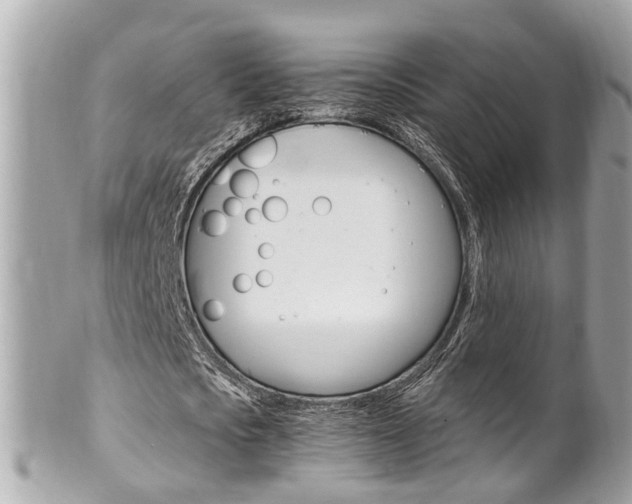 X0000102010721200807180910