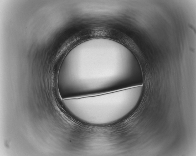 X0000102010722200807180910
