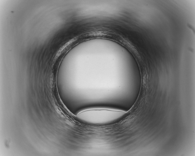 X0000102010724200807180910