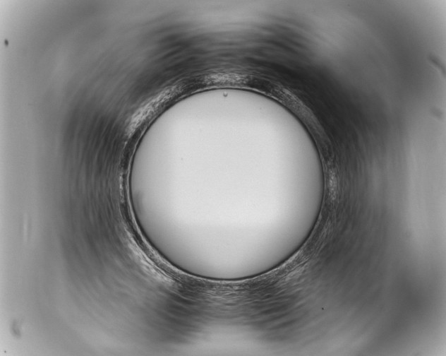 X0000102010725200807180910