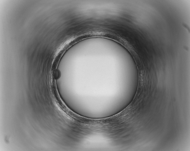 X0000102010726200807180910