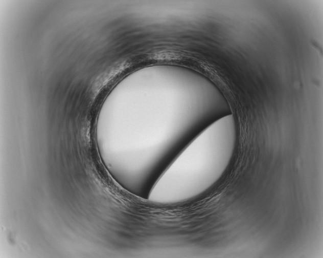 X0000102010727200807180910