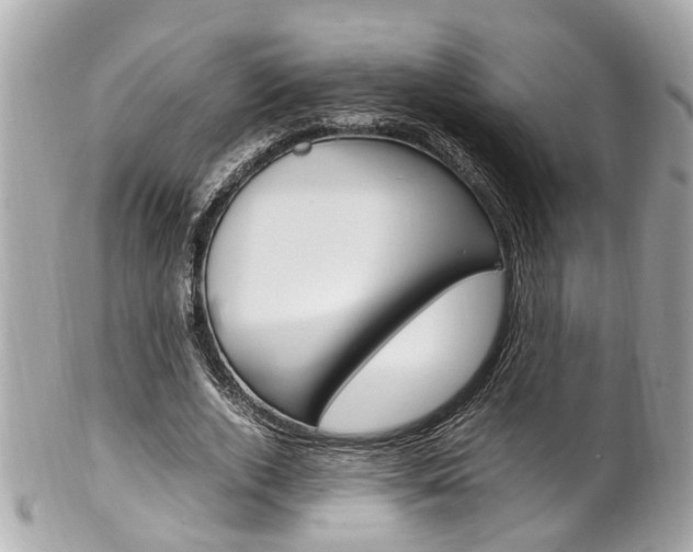X0000102010728200807180910