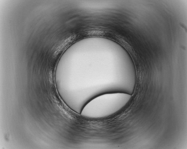 X0000102010729200807180910