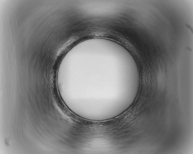 X0000102010730200807180910