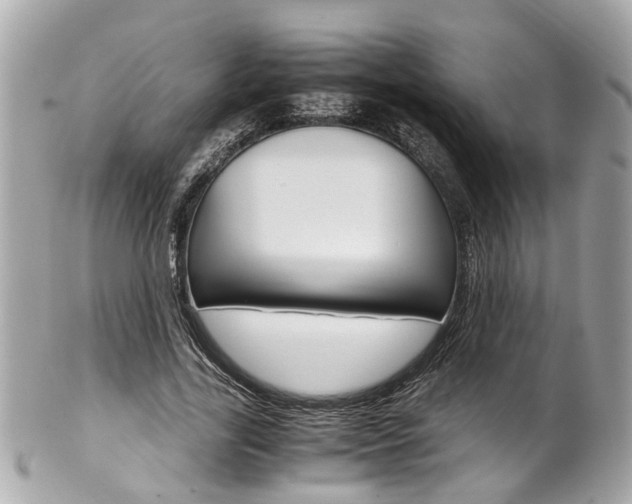 X0000102010731200807180910