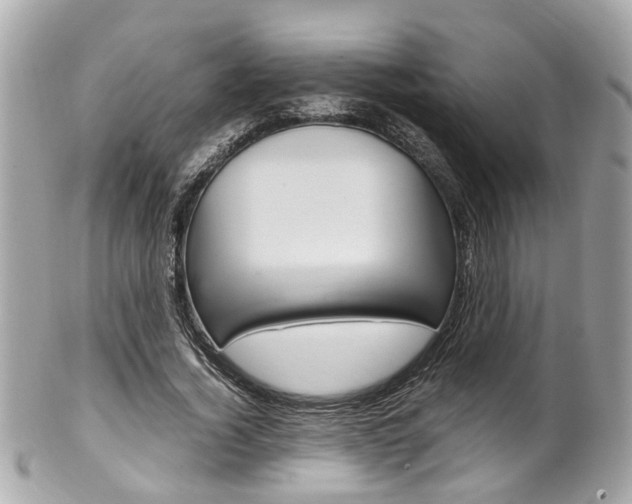 X0000102010732200807180910