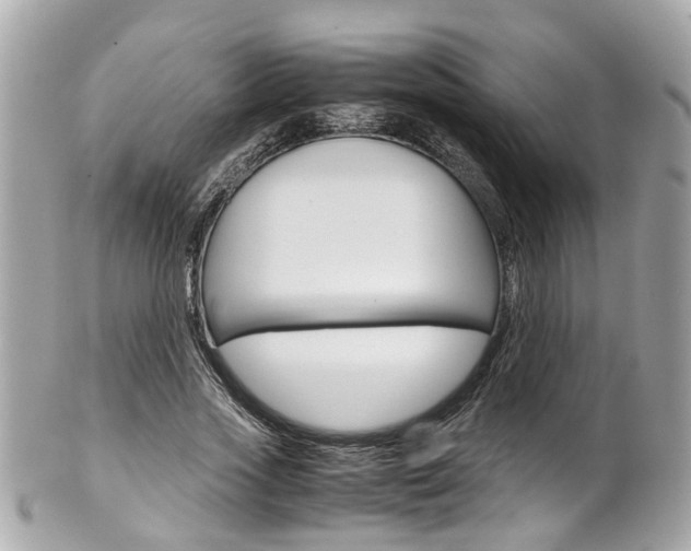 X0000102010733200807180910