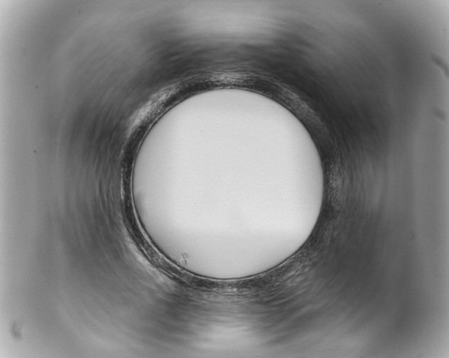 X0000102010734200807180910