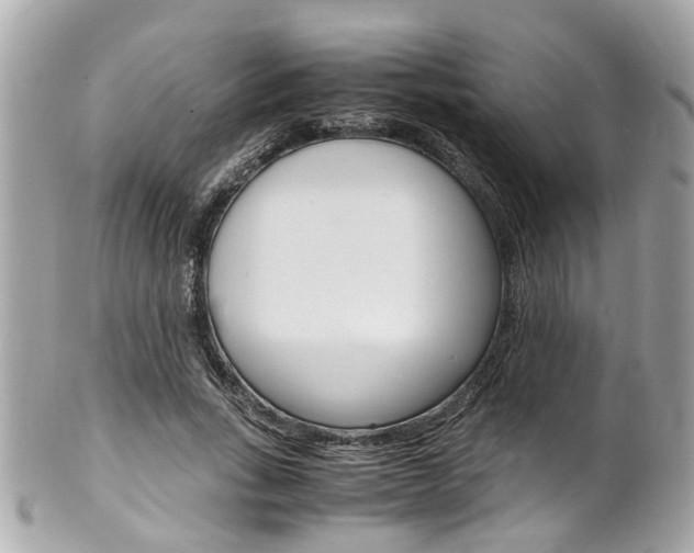 X0000102010735200807180910