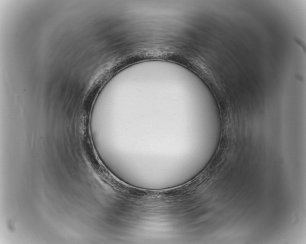 X0000102010736200807180910