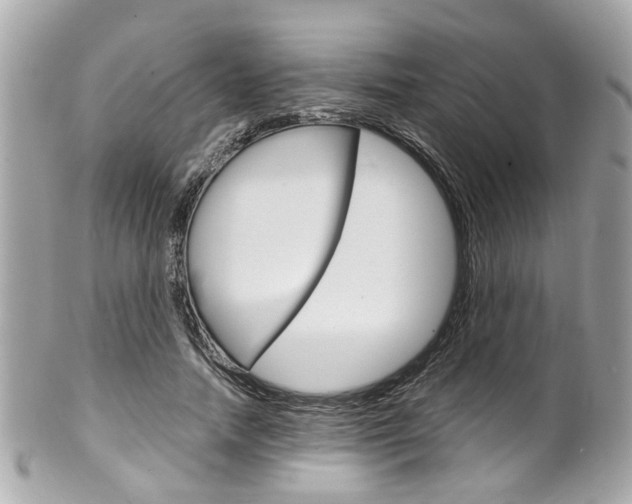 X0000102010738200807180910