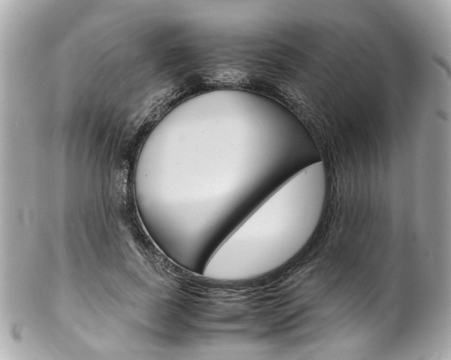 X0000102010739200807180910