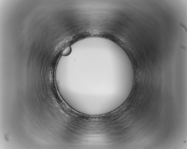 X0000102010740200807180910