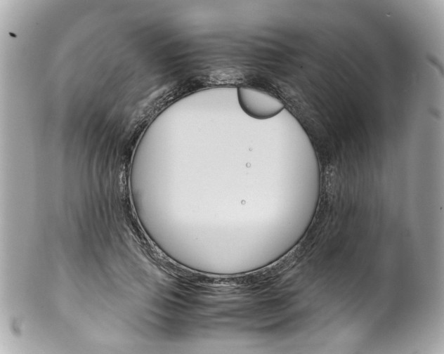X0000102010741200807180910