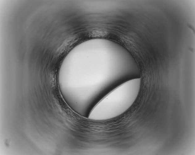X0000102010743200807180910