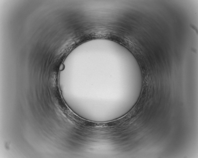 X0000102010744200807180910