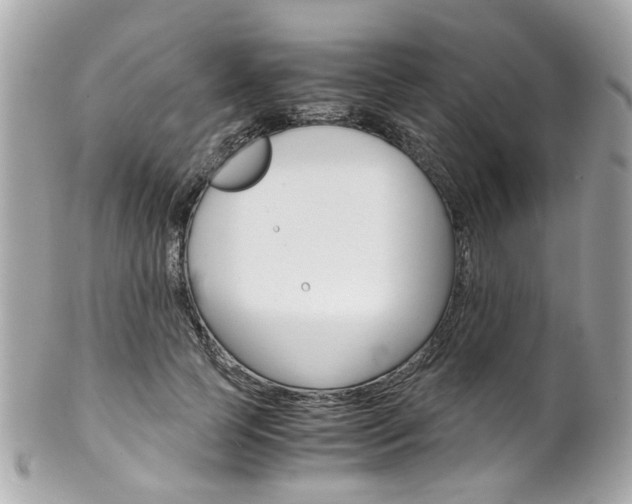 X0000102010745200807180910