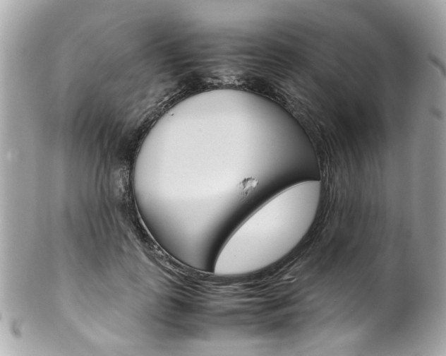 X0000102010747200807180910