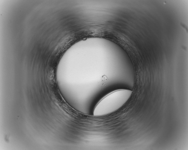 X0000102010748200807180910