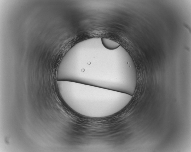 X0000102010749200807180910