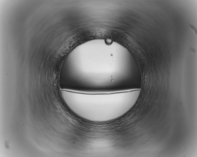 X0000102010750200807180910