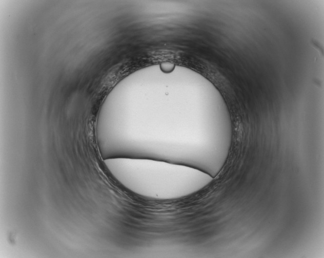 X0000102010753200807180910