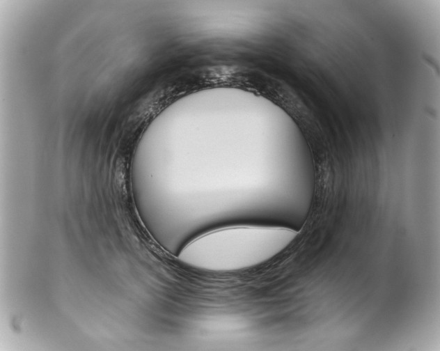 X0000102010754200807180910