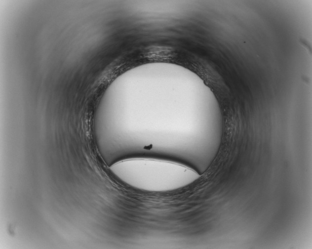 X0000102010755200807180910