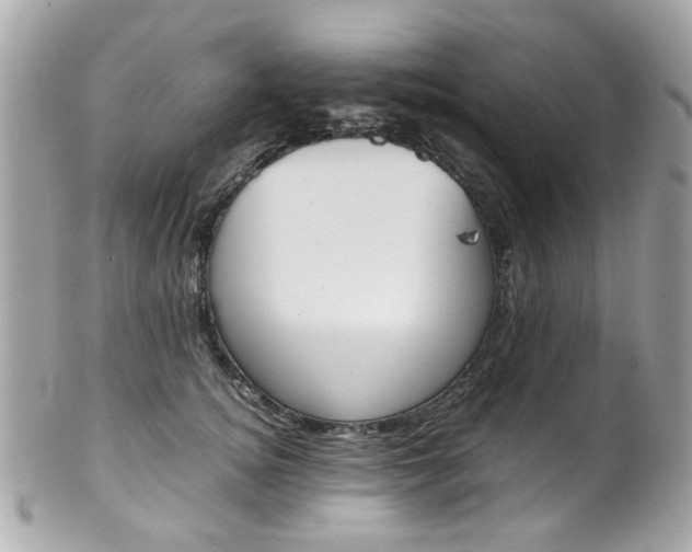 X0000102010756200807180910