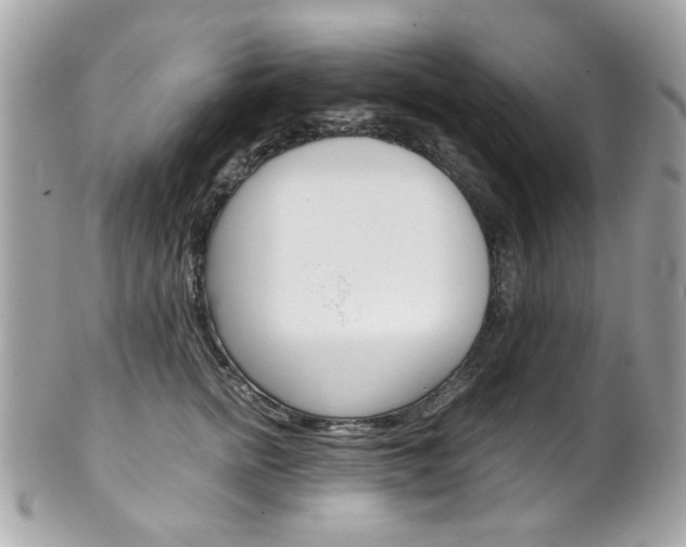 X0000102010758200807180910