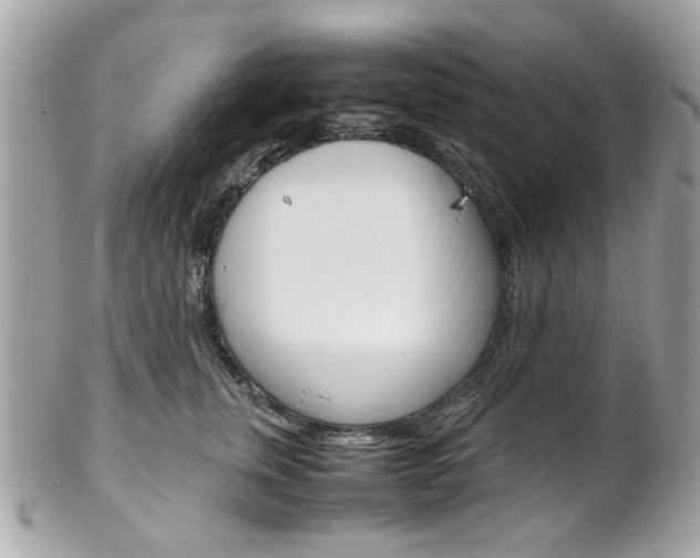 X0000102010759200807180911
