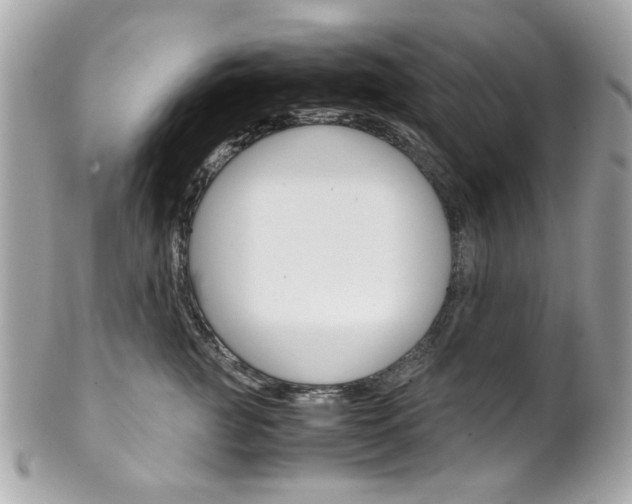 X0000102010761200807180911