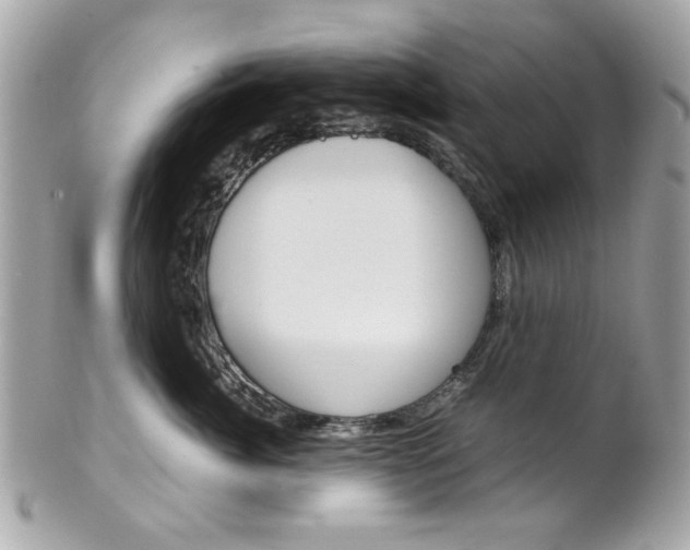 X0000102010764200807180911