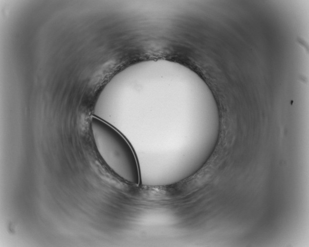 X0000102010768200807180911