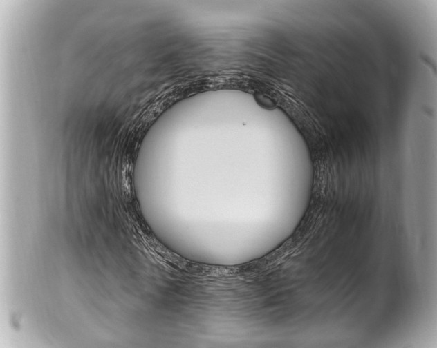 X0000102010770200807180910