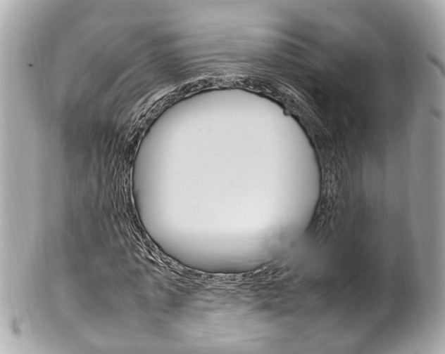 X0000102010773200807180910