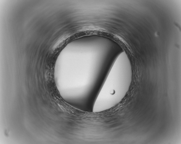 X0000102010775200807180910
