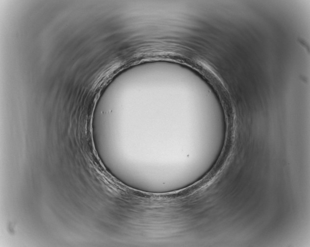 X0000102010777200807180910