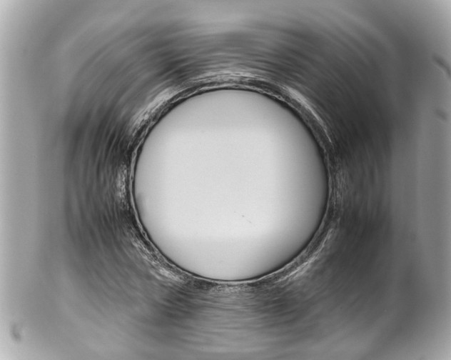 X0000102010778200807180910