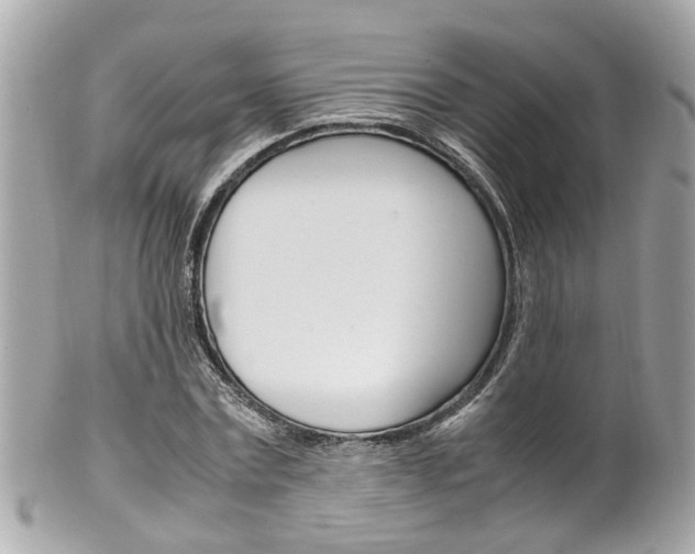 X0000102010779200807180910