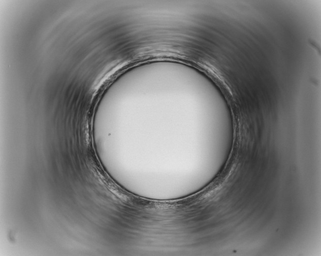 X0000102010782200807180910